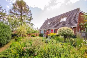 Photo 46- click for photo gallery